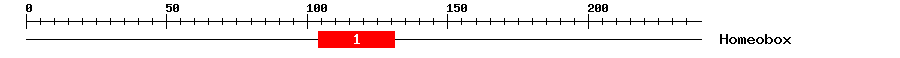 Signature Domain