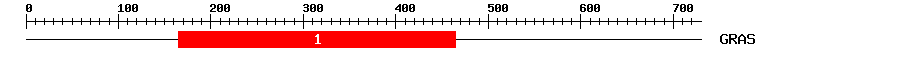 Signature Domain