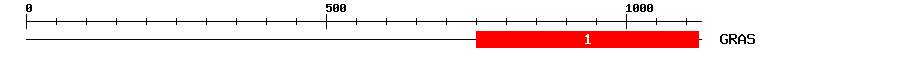 Signature Domain