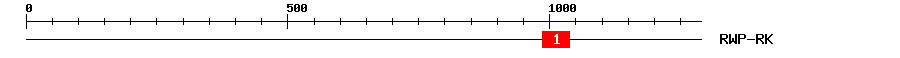 Signature Domain