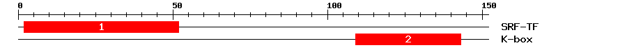 Signature Domain