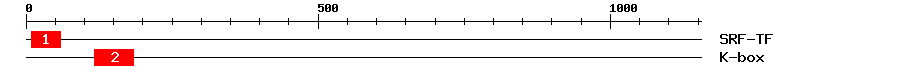 Signature Domain
