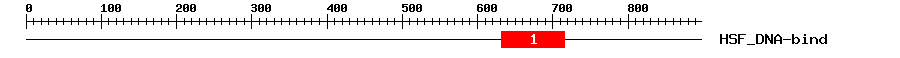 Signature Domain
