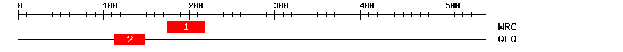 Signature Domain