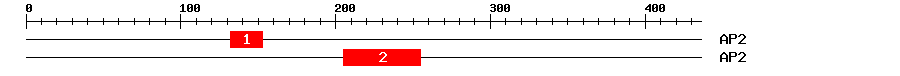 Signature Domain