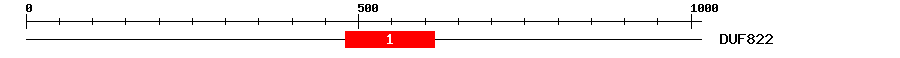 Signature Domain