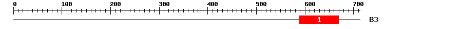 Signature Domain