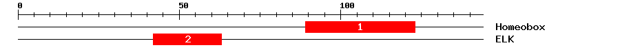 Signature Domain