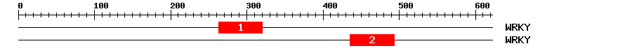 Signature Domain