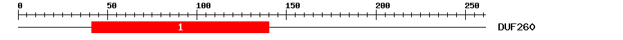 Signature Domain