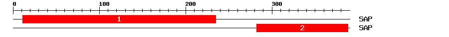 Signature Domain