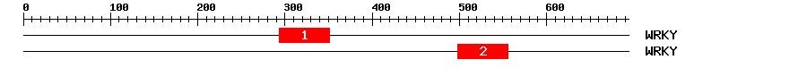 Signature Domain