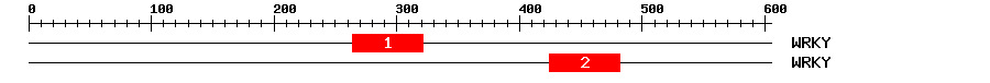 Signature Domain