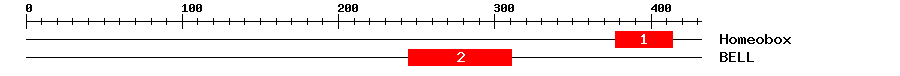 Signature Domain