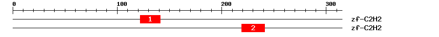 Signature Domain
