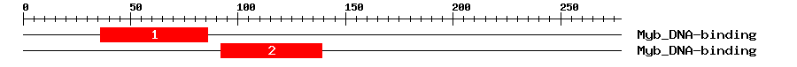 Signature Domain