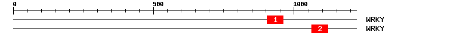 Signature Domain