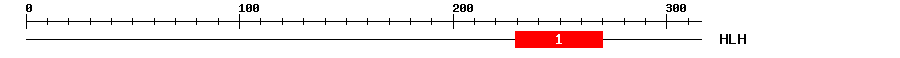 Signature Domain