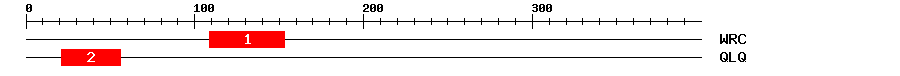 Signature Domain
