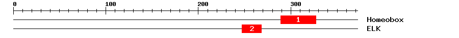 Signature Domain