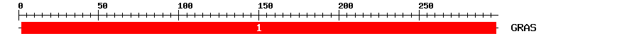 Signature Domain