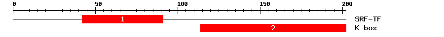 Signature Domain