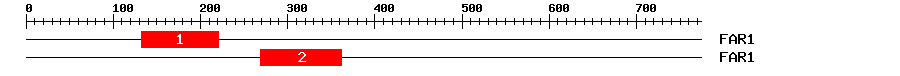 Signature Domain
