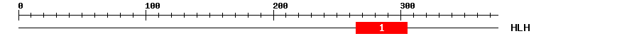 Signature Domain
