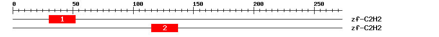 Signature Domain