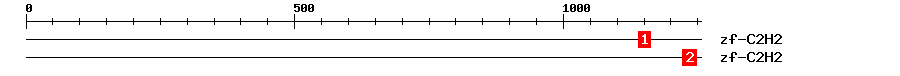 Signature Domain