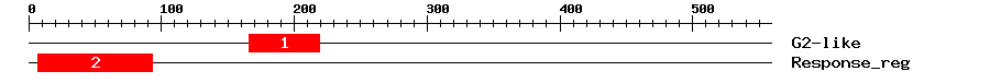 Signature Domain