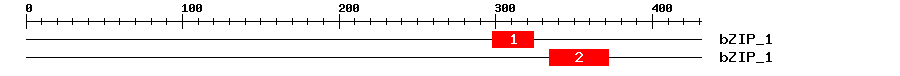 Signature Domain