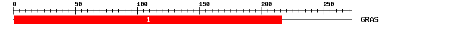 Signature Domain