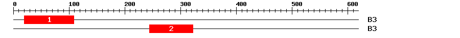 Signature Domain