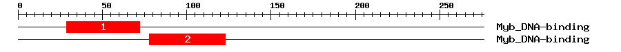 Signature Domain