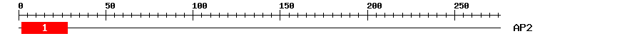 Signature Domain