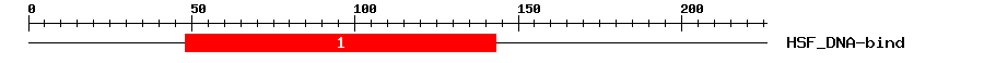 Signature Domain