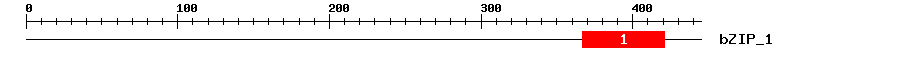 Signature Domain