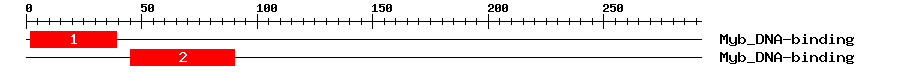 Signature Domain