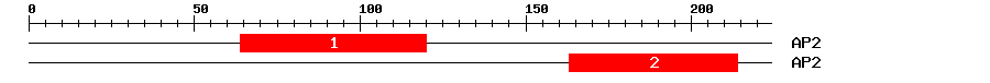 Signature Domain