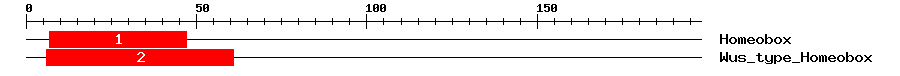 Signature Domain