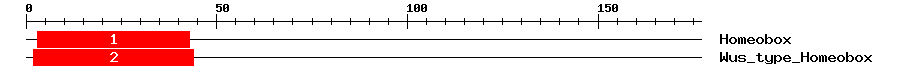 Signature Domain