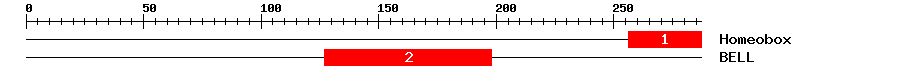 Signature Domain