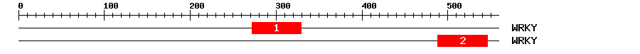 Signature Domain
