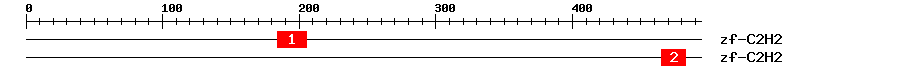 Signature Domain