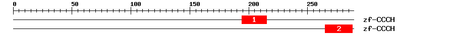 Signature Domain