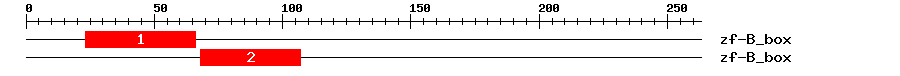 Signature Domain