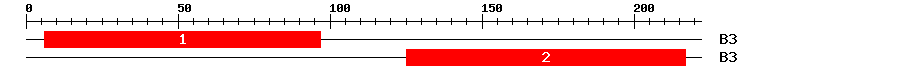 Signature Domain
