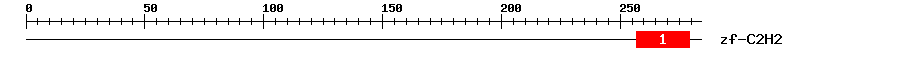 Signature Domain
