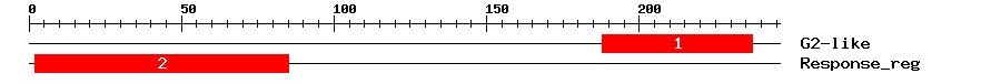 Signature Domain